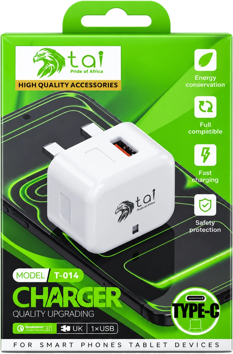 Compact USB Fast Charger